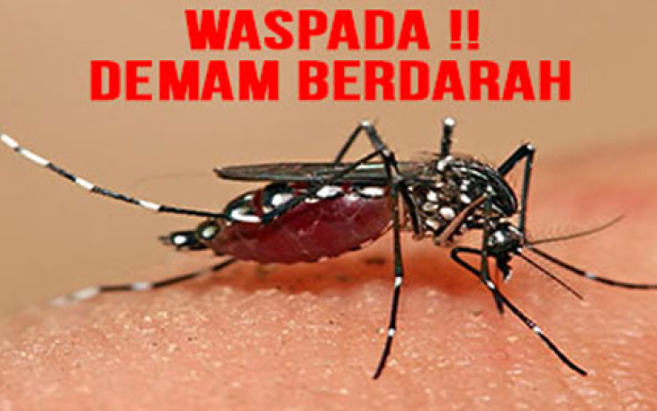 ilustrasi nyamuk DBD