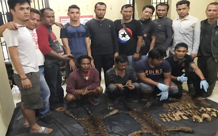 Dua orang pelaku beserta barang bukti saat diamankan di Polda Bengkulu. Foto : (Tribratanewsbengkulu.com)