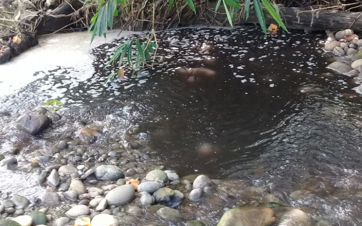 Kondisi air sungai diduga kuat tercemari limbah