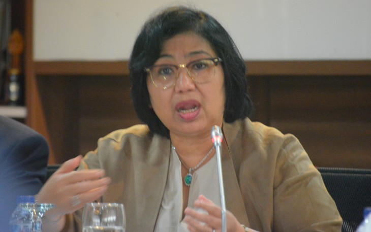 Anggota Komisi IX Irma Suryani