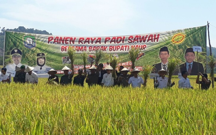 Bupati Kaur Gusril Fausi, S.Sos bersama rombongan saat melakukan panen raya padi di Desa Talang Tais, Kecamatan Kelam Tengah, Kabupaten Kaur, Rabu (31/1/18).