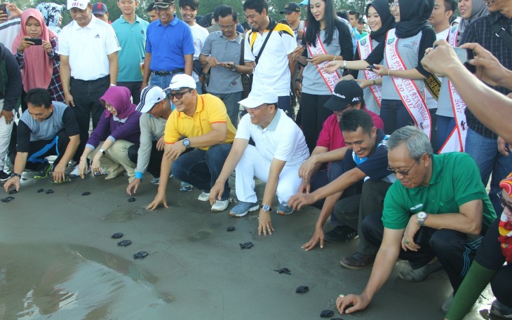 Plt Gubernur hadiri kegiatan Bersih Pantai, Penghijauan dan Pelepasan Tukik Penyu dalam rangka Dies Natalis Universitas Bengkulu ke-36 Tahun 2018, Sabtu (218).