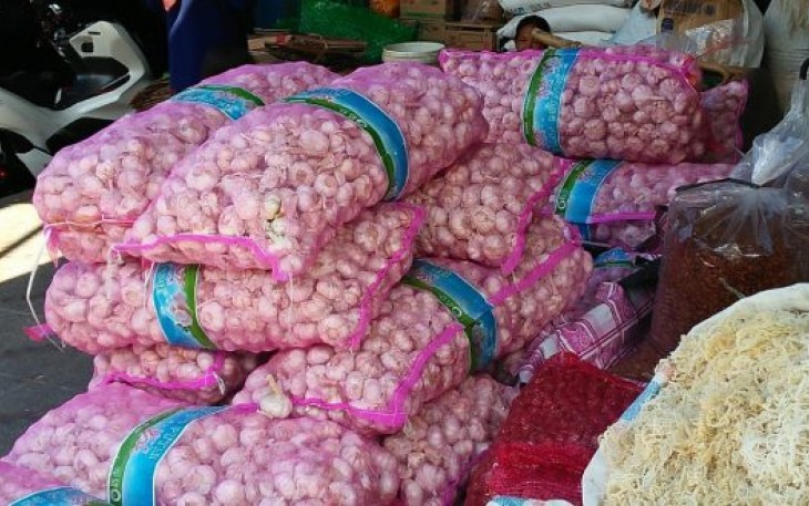 Foto : Bawang Putih 