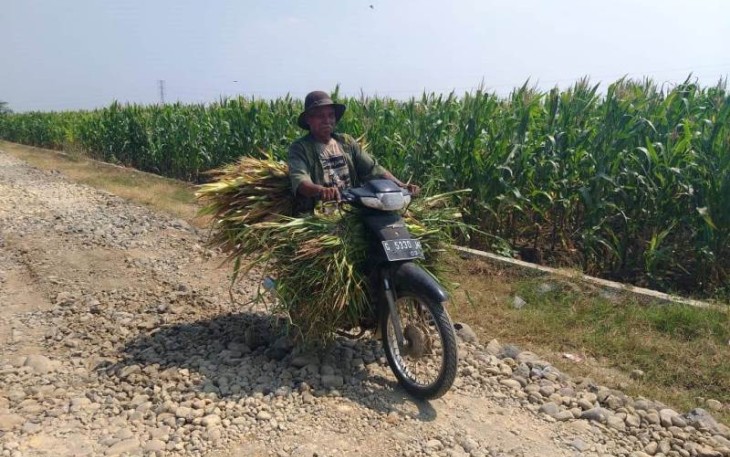 Suju pencari rumput semakin ngacir berkat TMMD Tegal