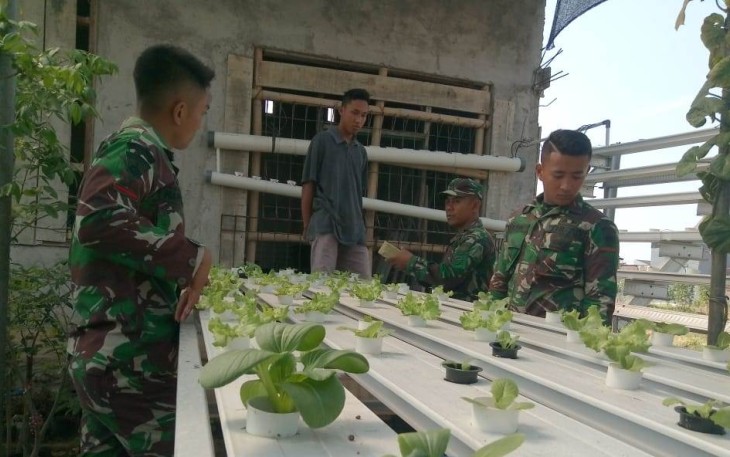 TNI Satgas TMMD Ajarkan Budidaya Tanaman Hidroponik