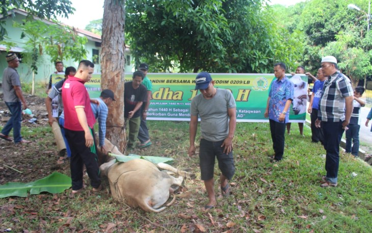 Penyembelihan hewan qurban