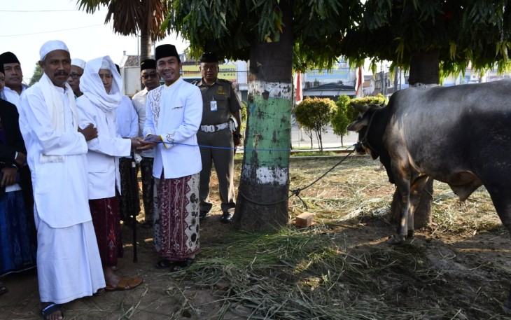 Bupati Batang Serahkan Hewan Qurban