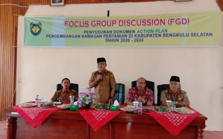 Assisten II Sekretariat Daerah Bengkulu Selatan Novman Ahmad Ali 