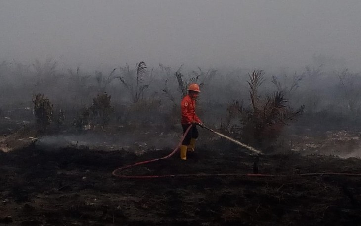 BPBD Asahan Laporkan 20-30 Ha Lahan Gambut Terbakar Di Sei Kepayang