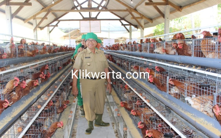 Bupati Blitar Drs Rijanto Saat Meninjau Kandang Ayam Petelur