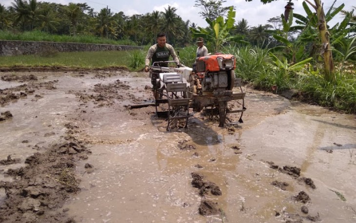 Babinsa Dampingi Petani Olah Sawah