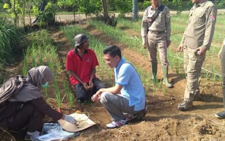 Kabid Penyuluh Pertanian Dinas Pertanian Mukomuko Elxsandi Utria Darma