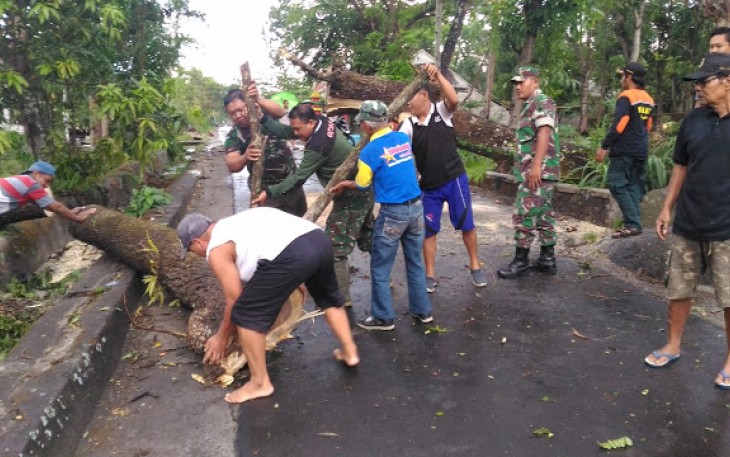 TNI Bersama Masyarakat Dan Relawan Mengevakuasi Pohon Tumbang    