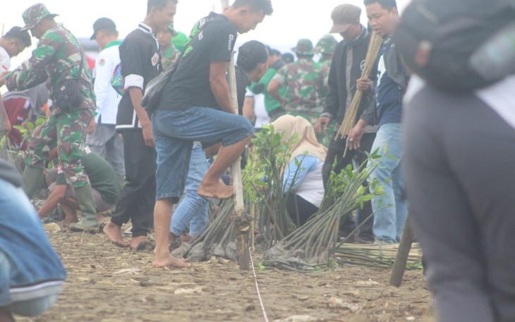 Sadar pentingnya ekosistem berbagai komunitas ikut tanam mangrove