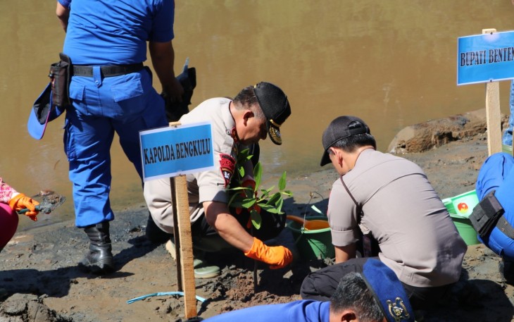 Kapolda Bengkulu Irjen Pol Drs Supratman MH saat tanam mangrove