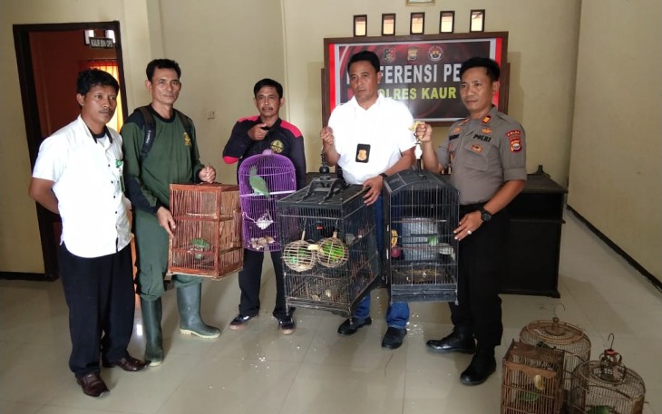 11 Ekor Burung Dilindungi Diamankan Polisi
