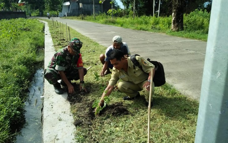 Bunga Refugia Ditanam di Sepanjang Jalan Desa