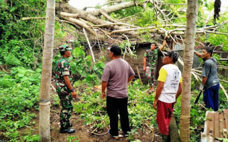 Koramil 1310-02/Lembeh Sigap Evakuasi Pohon Tumbang yang Menimpa Rumah Warga