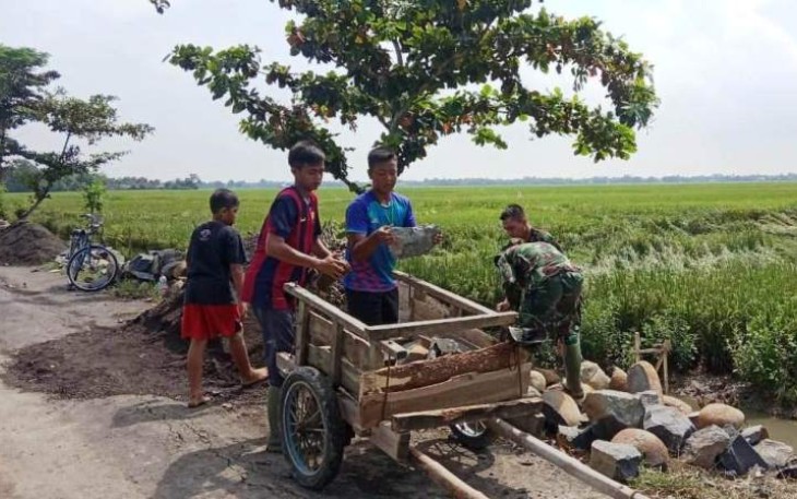 Anak-Anak Pantirejo Nekad Bantu Satgas TMMD Pekalongan
