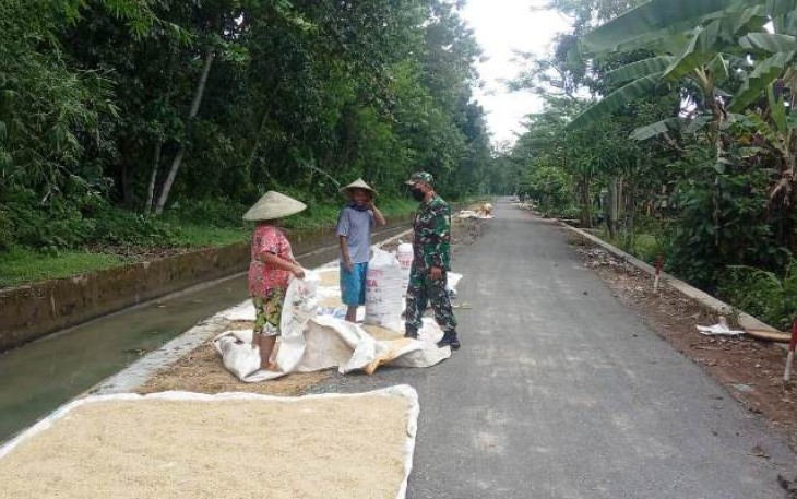 Petani Pantirejo Terbantu Pembangunan Akses Jalan TMMD Reguler Pekalongan