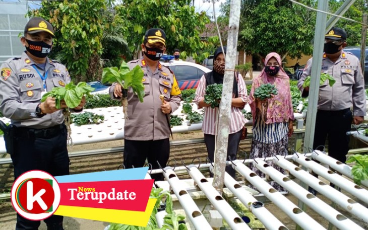 Kapolres Batu Bara AKBP Ikhwan Lubis SH MH dukung sepenuhnya bagi masyarakat yang telah melakukan cipta swasembada Pangan.