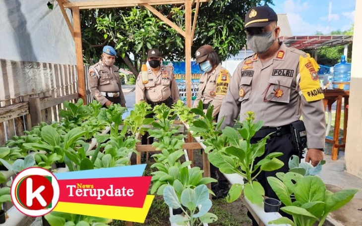 Polsek Dabo Singkep Budidaya Sayuran Hidroponik dan Lele Jumbo
