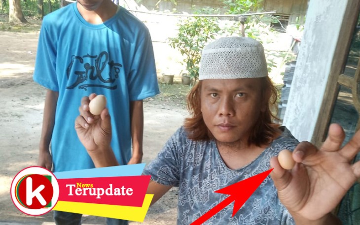 Ibnu saat membandingkan telur normal dan telur mini miliknya