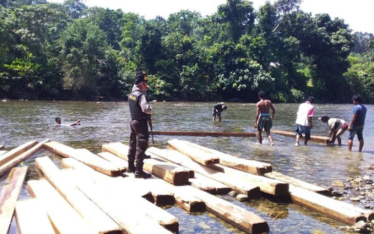 150 Batang Balok Kayu di Sungai Napalan Diamankan Polres Seluma Polda Bengkulu