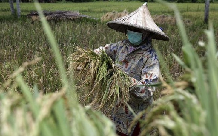 Sumber Foto CNN Indonesia 
