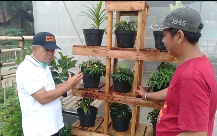 Kelompok Pemuda Tani Desa Benteng Purwakarta Bangun Rumah Bibit Semi Agrowisata
