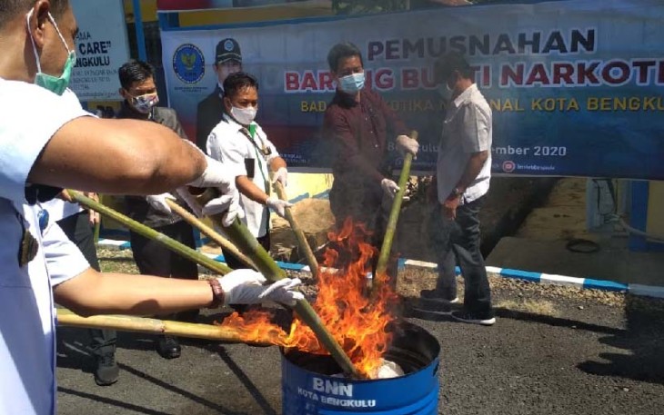 Pemusnahan Barang Bukti Ganja 