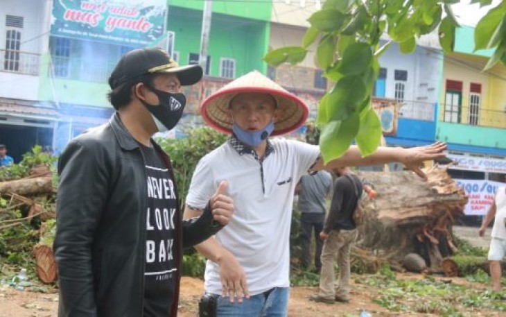 DLH Kota Bengkulu Akan Lakukan Pemangkasan Rutin