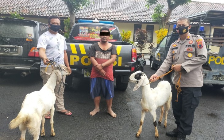 Kepolisian Sektor (Polsek) Tersono Polres Batang Berhasil Mengamankan Satu Dari Dua Pelaku Pencurian Ternak 