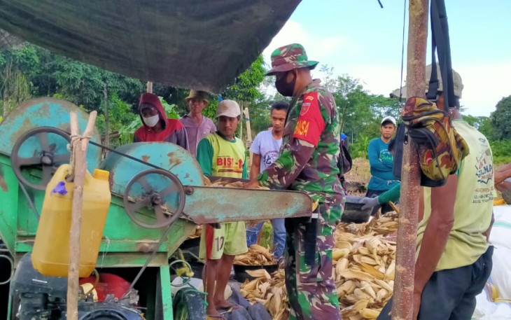 Babinsa Bersama Warga Paneng Jagung