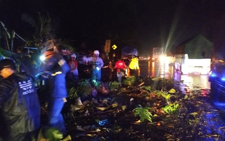 Dua mobil Tertimpa Pohon Jati Yang Tumbang di Jalan Raya Desa Penundan 