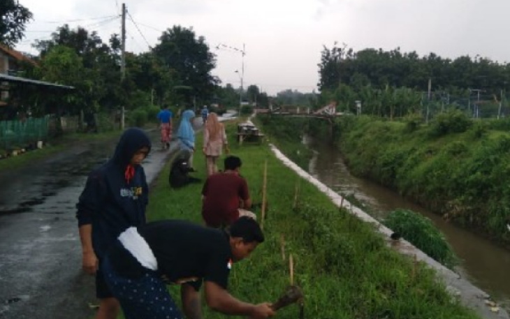JPA tanam pohon di pinggir tanggul sungai 