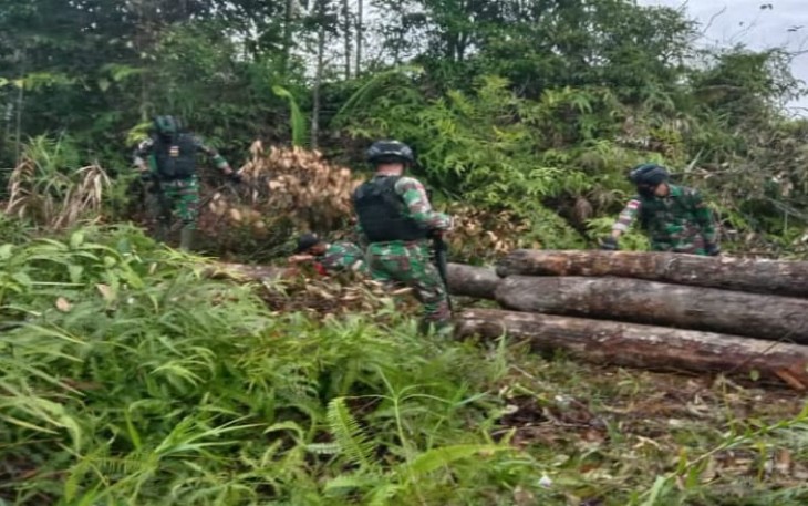 Satgas Pamtas RI-MLY Yonif 407/PK kembali menemukan puluhan kubik kayu hasil illegal logging di hutan Nanga Seran, Kecamatan Ketungau Tengah, Kabupaten Sintang, Kalimantan Barat.