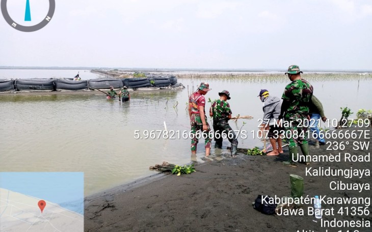 Penanaman Pohon Mangrove di Lokasi TMMD 110 Karawang