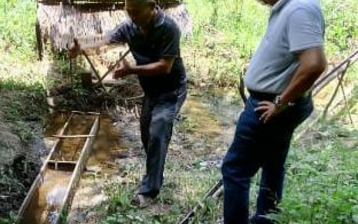 Pengembangan Serai Wangi Berpotensi di Aceh Singkil