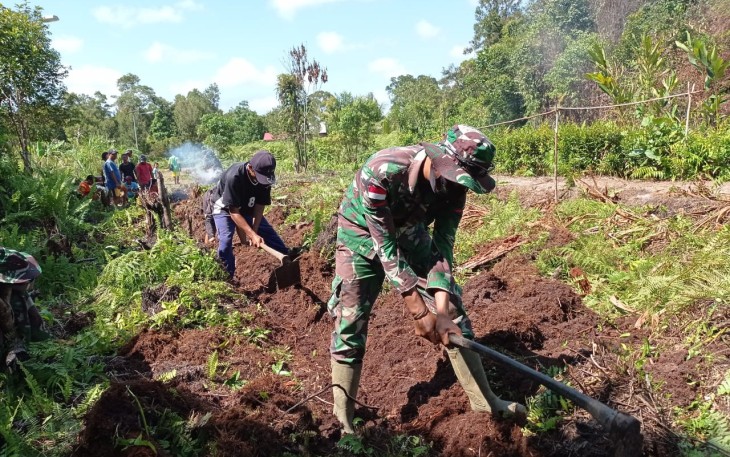 Prajurit TNI Satgas Pamtas RI-MLY Yonif 407/PK membantu warga perbatasan Desa Sungai Mawang Kec. Puring, Kencana Kab. Kapuas Hulu, Prov. Kalimantan Barat memanen padi. Senin (01/03/21)