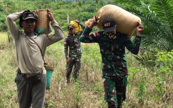 Satgas Pamtas Yonif 407/PK membantu warga mengani (memanen padi) milik warga Desa Seria, Kecamatan Ketungau Hulu, Kabupaten Sintang, Kalbar. Senin (15/03/2021)
