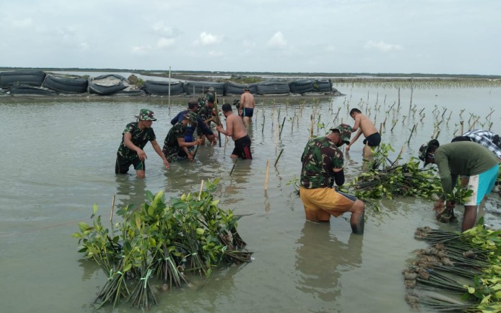 Lestarikan Ekosistem di Pesisir Pantai Desa Sedari