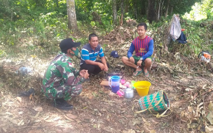 BABINSA DAMPINGI WARGA DESA BINAAN DI SEKTOR PERTANIAN DENGAN TETAP MEMPERHATIKAN KELESTARIAN HUTAN