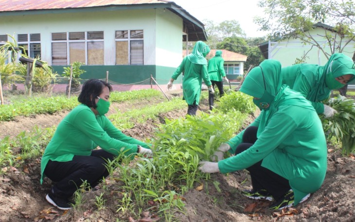 Kebun Skala Rumah Tangga Persit Cabang XLVII Kodim 1203