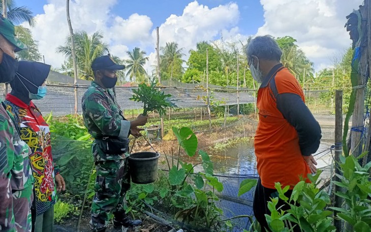 Babinsa Bersama Poktan, Siap Sukseskan Ketahanan Pangan Wilayah