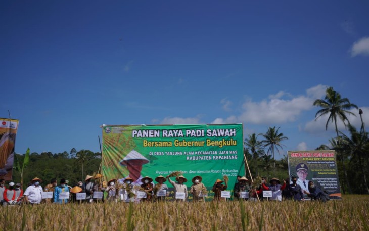 Panen Raya di Kabupaten Kepahiang 