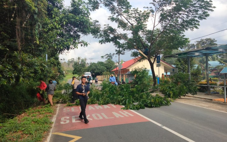  pemerintah Desa Lancangkuning melakukan Pemangkasan dan penebangan pohon di sepanjang jalan yang berada di area pemerintahannya