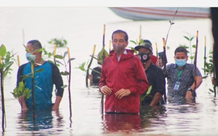 Presiden Republik Indonesia Joko Widodo Melakukan Penanam Pohon Mangrove Bersama Warga Setokok Batam