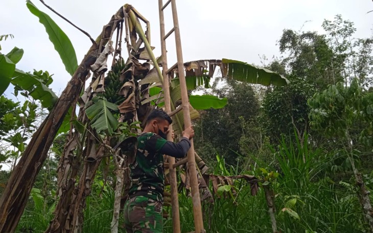 Bambu Tingkat Tangga Bambu untuk TMMD 112 Tulungrejo