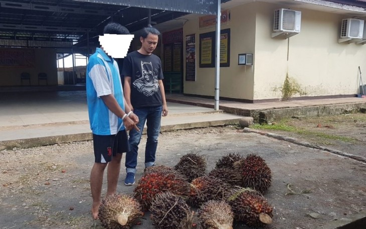 Terduga Pelaku Diamankan       